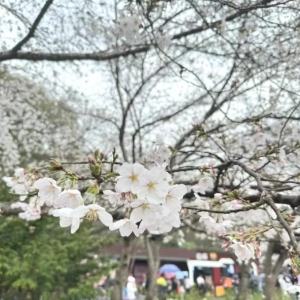 春暖花開 約會女神丨匯信集團關(guān)愛女職工活動